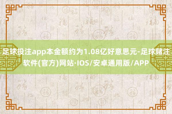 足球投注app本金额约为1.08亿好意思元-足球赌注软件(官方)网站·IOS/安卓通用版/APP